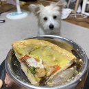 멍댕공방 | •멍댕공방• 광주 강아지피자 강아지 수제간식으로 강추❤️