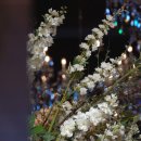 영상으로 만나는 스냅 이미지