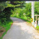 기러기민박 이미지