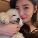 팬카페 활성화 기원 155일차 이미지