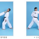 황제태권도장 이미지