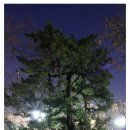 정*수(경기82배1528) | [경기 성남] 분당 중앙공원의 늦가을 풍경
