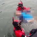 속초시청 이미지