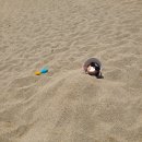 비에이치씨 평해점 이미지