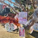 소원유치원 이미지