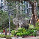 서초그랑자이 동문 앞 횡단보도 | 서초그랑자이 "정문 문주작업"과 "서초그랑자이상가"~!!!