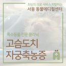 동인동물메디컬센터 이미지