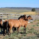 승용목장 이미지