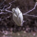 아산시-2024-018 이미지