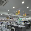 인계동안경 찾는다면? 70% 할인에 친절함까지 갖춘 비즈안경위드렌즈 방문 후기