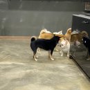 루이호텔 이미지