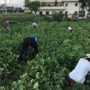 우동경로당 이미지