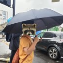 대발슈퍼 | 초5 아이랑 엄마랑 런던 :: 썸머캠프 둘째주 주간일기