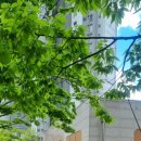 계림동사무소 화장실 이미지