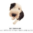 나의 강아지에게 이미지