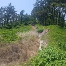 진도 금갑진성 이미지