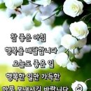 수요일 이미지