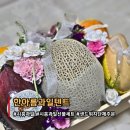 한아름과일 | 어버이날 선물로 선택한 시흥과일선물 한아름과일텐트 (핸들박스 M)