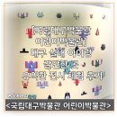 국립대구박물관 버스정류장 | [국립대구박물관 어린이박물관] 대구 실내 아이랑 갈만한 곳 유익한 전시 체험 후기