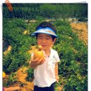 만석군농장 이미지