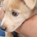 감자동물병원 이미지