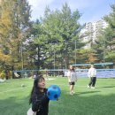 만골목장 네이버블로그