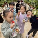 중앙 초등학교 병설 유치원 이미지