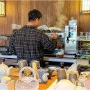 호시노아 오브 수월경화