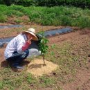 방초농장 이미지