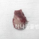 사우동골 이미지