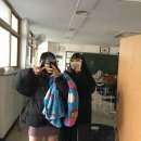 형제중고타이어 | 중고 자취생의 하루살이