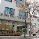 우성댓잎 이미지