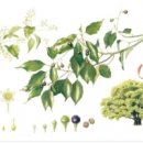 영종도서관 이미지