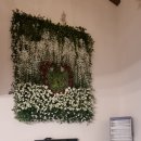 쁘띠까도 풀빌라 이미지