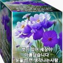 사 람 자리가,, 이미지