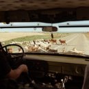 스타트레블 이미지