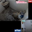 진솔클린 이미지