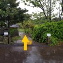 제주민박프리타타 이미지