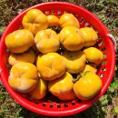 차령농장 이미지