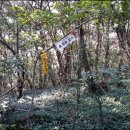 부부2 태양광발전소 이미지