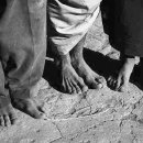 시인의 내일 이미지