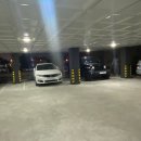 정성담은손칼국수 이미지