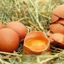 연세사랑의원 이미지