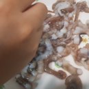 자갈치수산 네이버블로그
