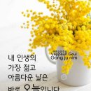 금요일 아침 퀴즈 이미지