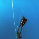 프리커뮤니티 이미지