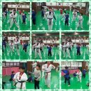 용인대노원태권도체육관 이미지