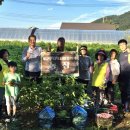 개군면사무소 이미지