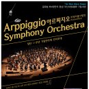 아르피지오 심포니오케스트라 창단 11주년 기념음악회 이미지
