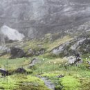 [북유럽 캠핑카여행 22] 노르웨이7일차- 여름스키장이 있는 strynefjellsvegen의 아침 이미지